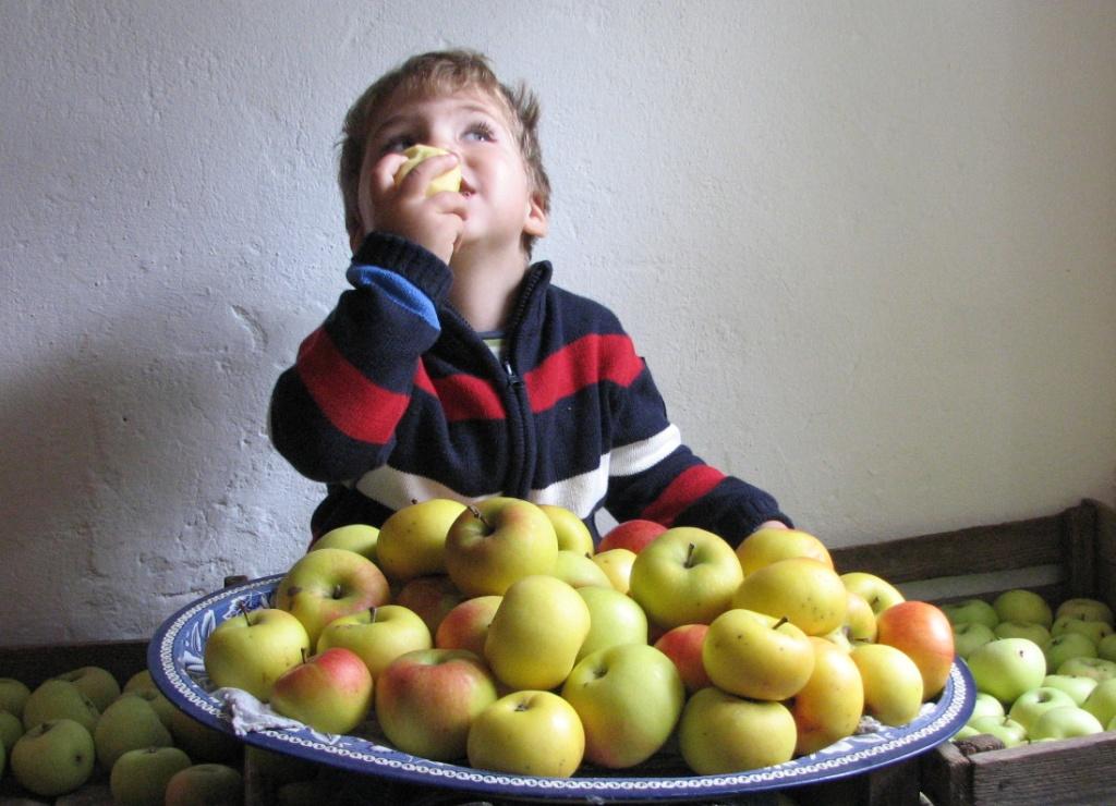 фото "Apples" метки: , 