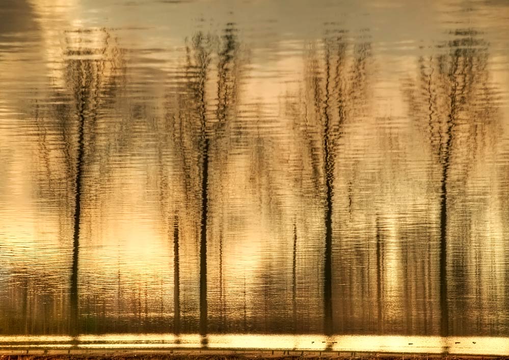 фото "." метки: пейзаж, 