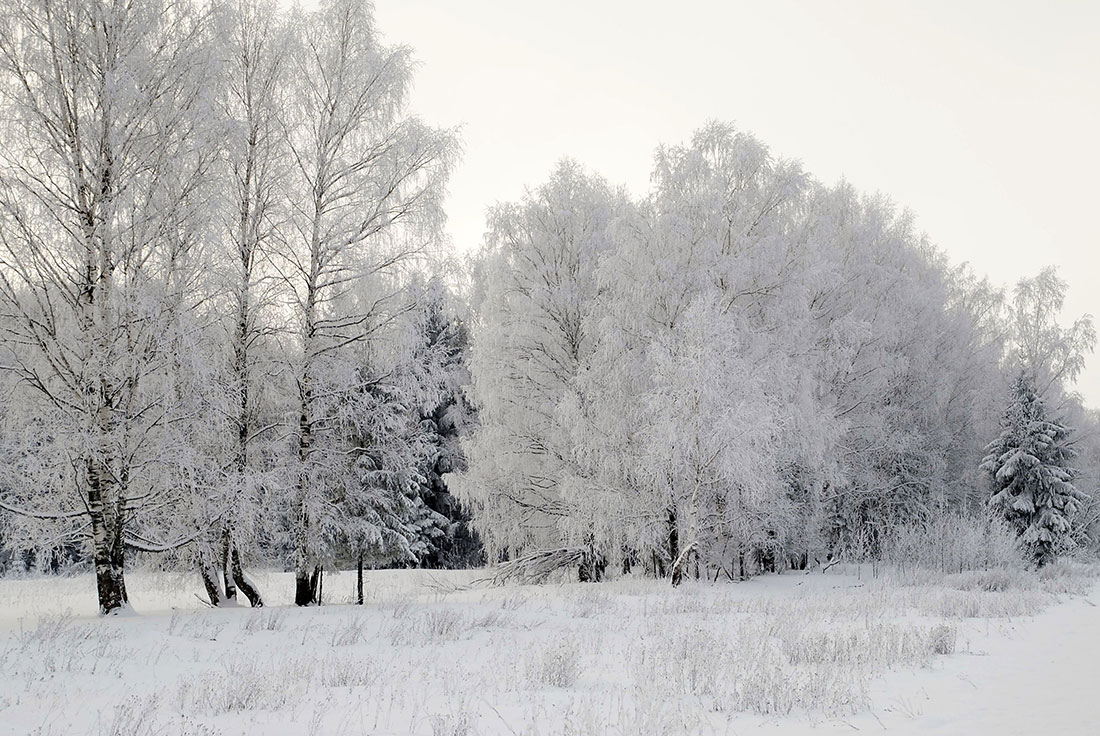 photo "***" tags: landscape, winter