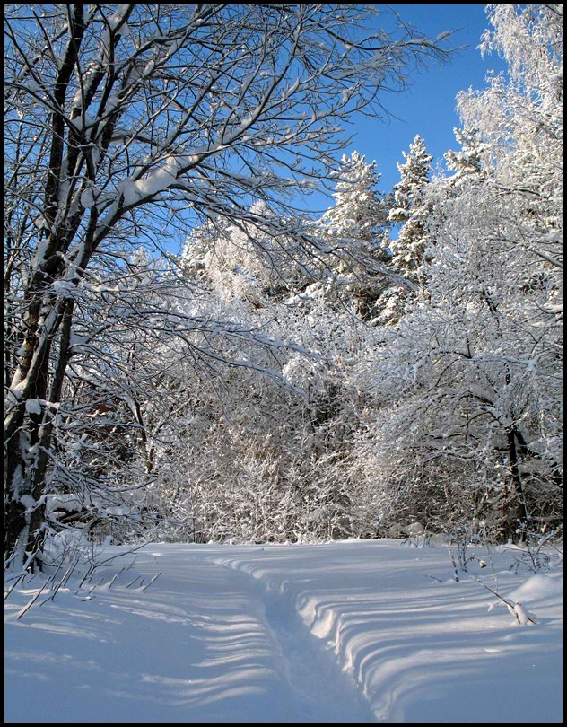 photo "***" tags: landscape, winter