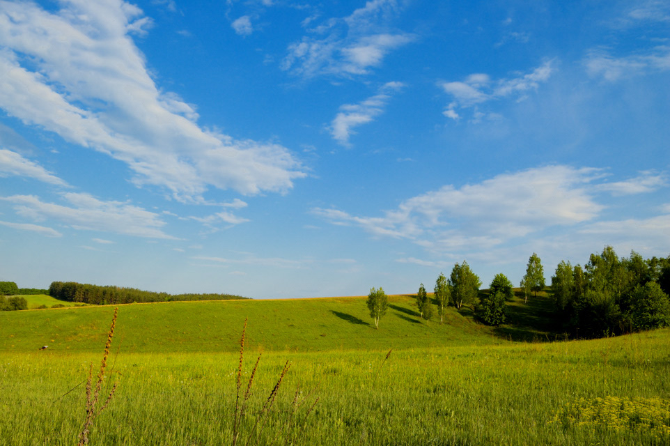 photo "***" tags: landscape, summer