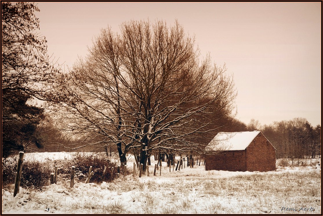 photo "a good morning" tags: landscape, architecture, winter