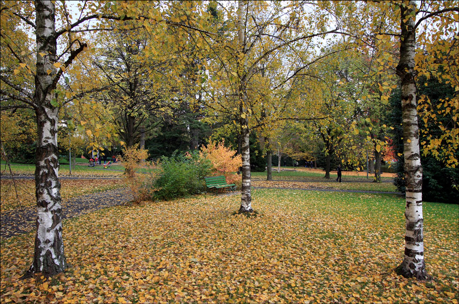 photo "Autumn triangle" tags: landscape, autumn