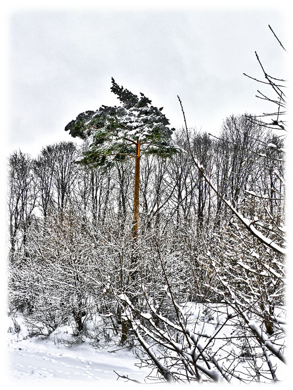 фото "***" метки: пейзаж, 