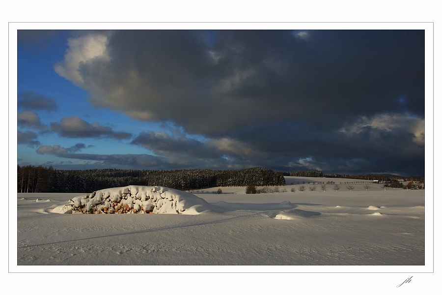 photo "County Woodcutters" tags: landscape, winter