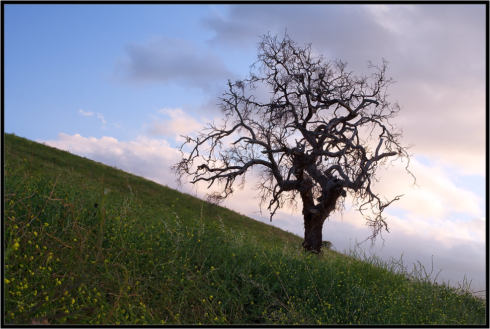 photo "Green and Blue" tags: landscape, sunset