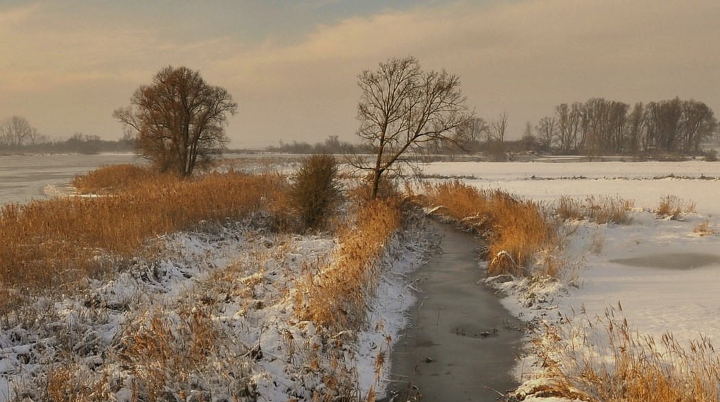 photo "***" tags: landscape, winter