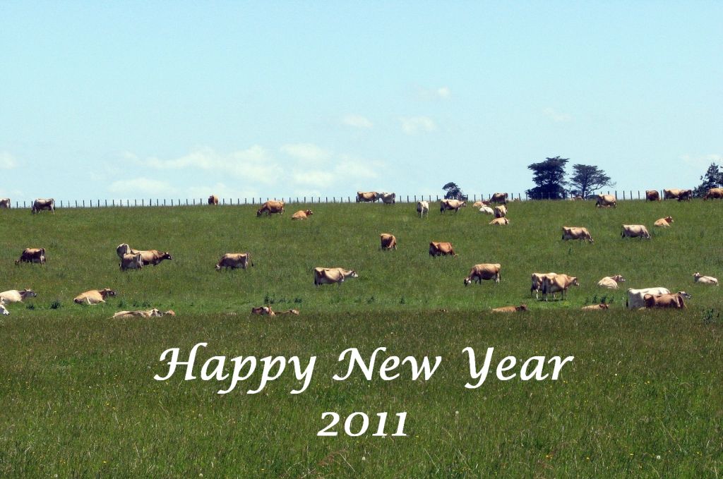 photo "Happy New Year" tags: misc., reporting, 