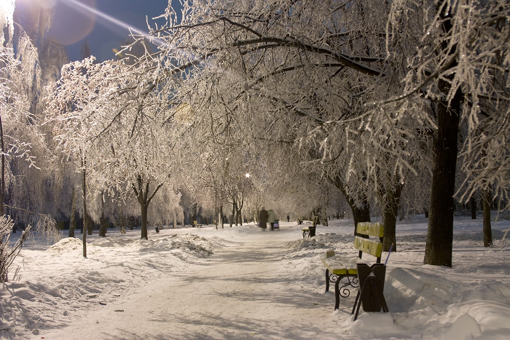 photo "Happy New Year! I wish all the happiness in the New Year" tags: landscape, night, winter