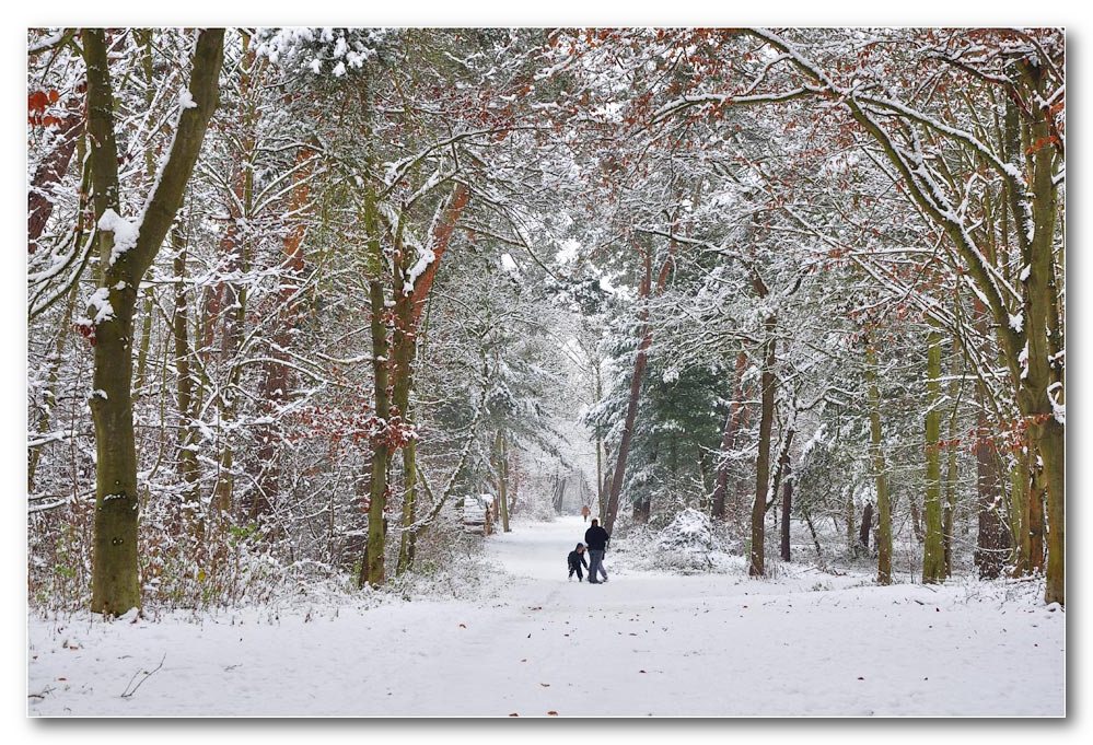 photo "***" tags: landscape, winter