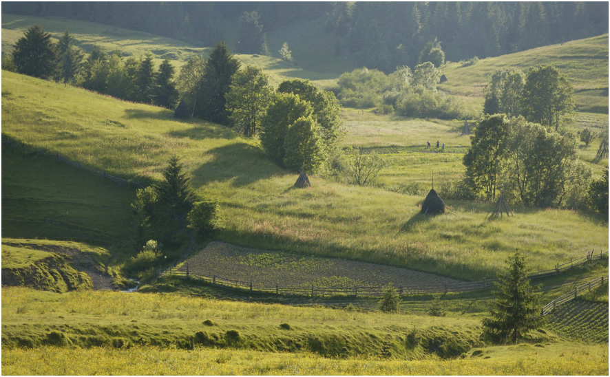 фото "Долина" метки: пейзаж, горы, лето
