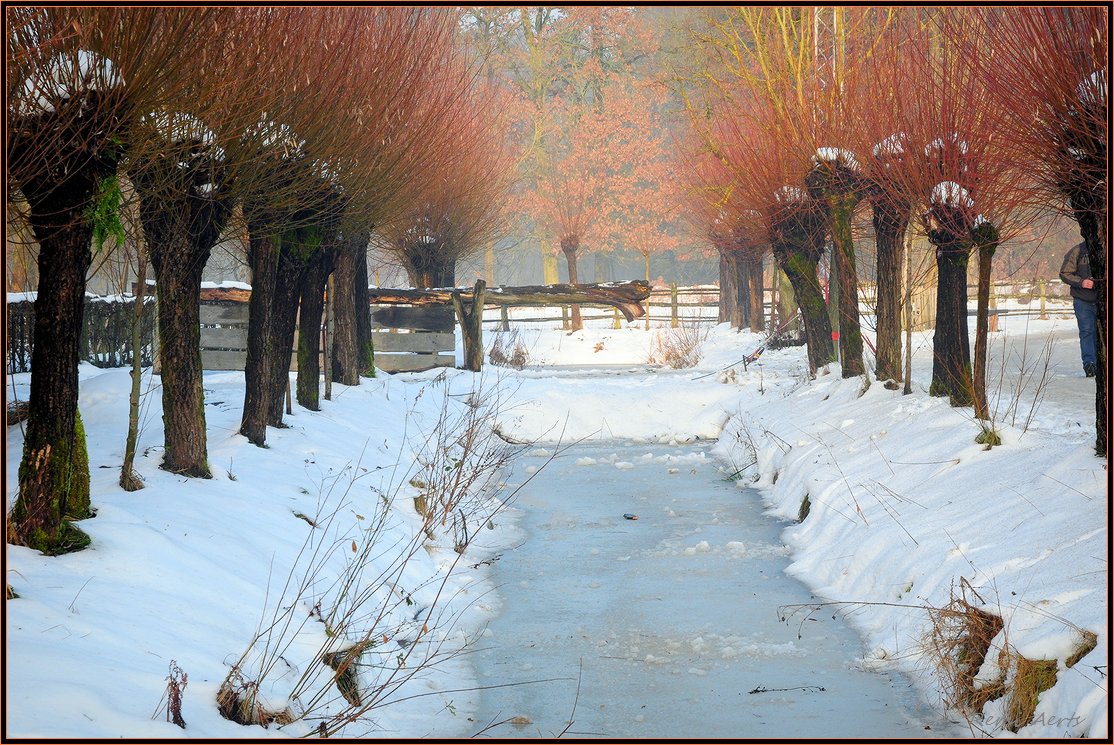 photo "a beautiful winter morning" tags: landscape, autumn, sunset