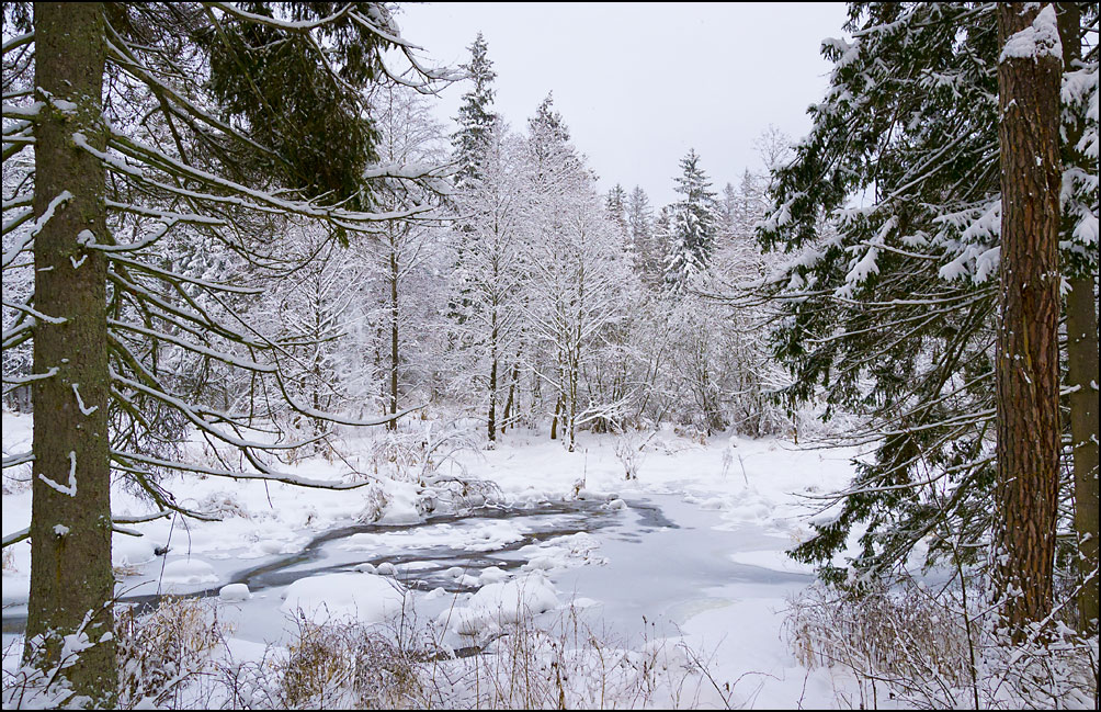 photo "Sacred Lake's Guards" tags: landscape, forest, winter