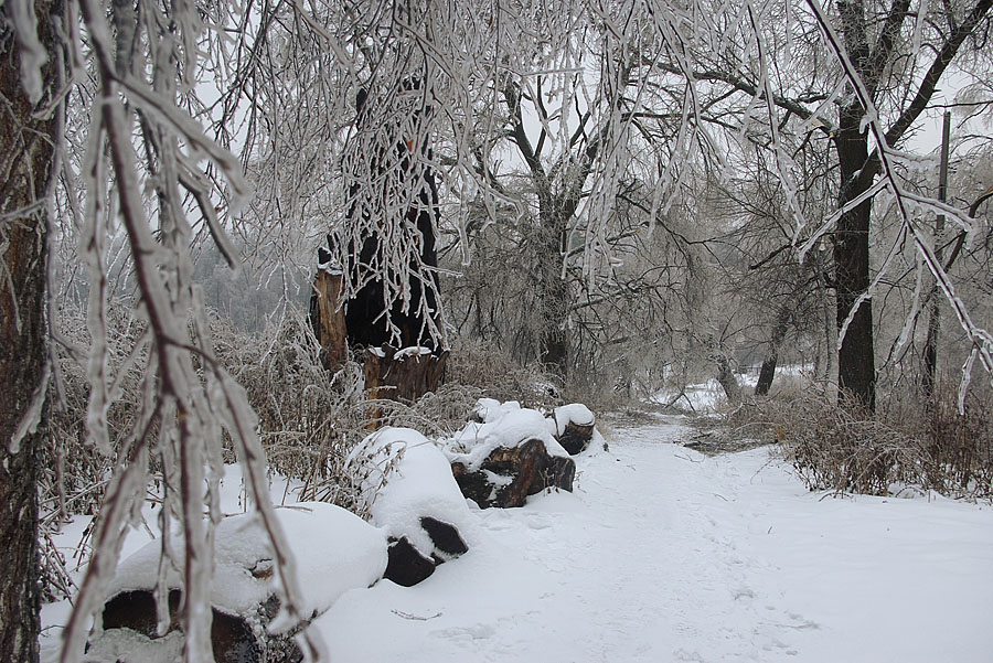 photo "***" tags: landscape, winter