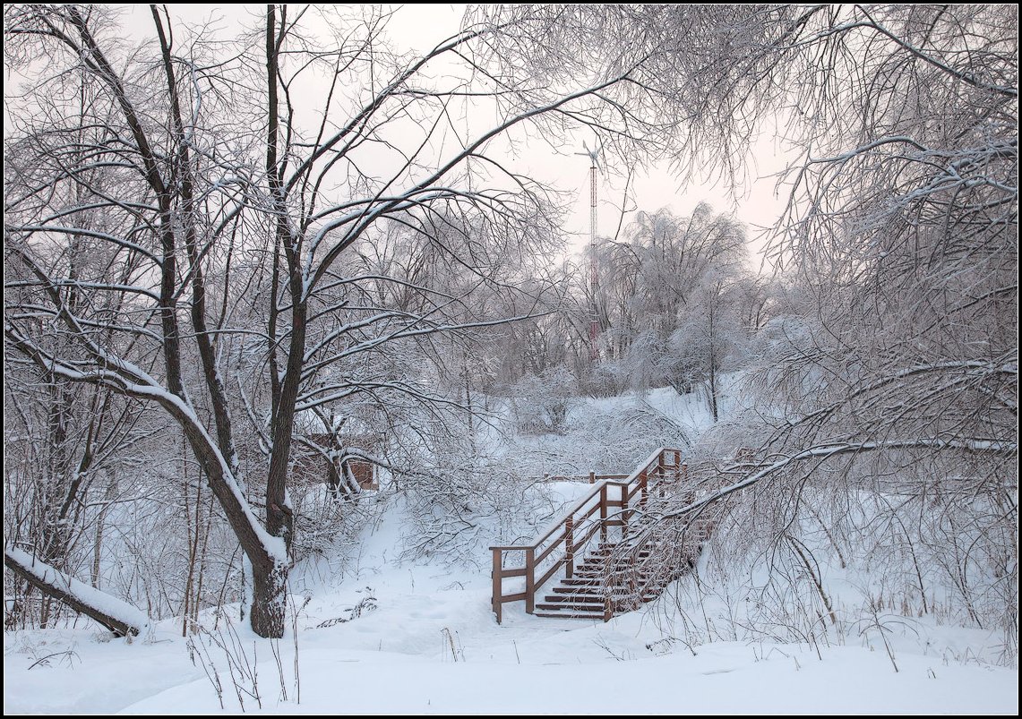 фото "зимняя сказка" метки: пейзаж, зима, лес