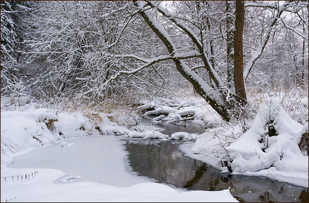 photo "Isloch River Headwaters" tags: landscape, water, winter