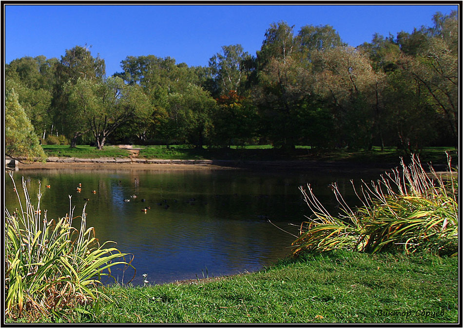 photo "***" tags: landscape, autumn