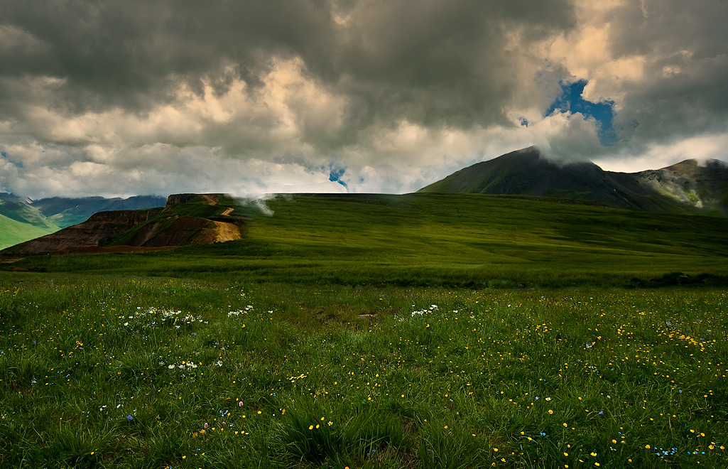 photo "Alpine herbs" tags: landscape, mountains