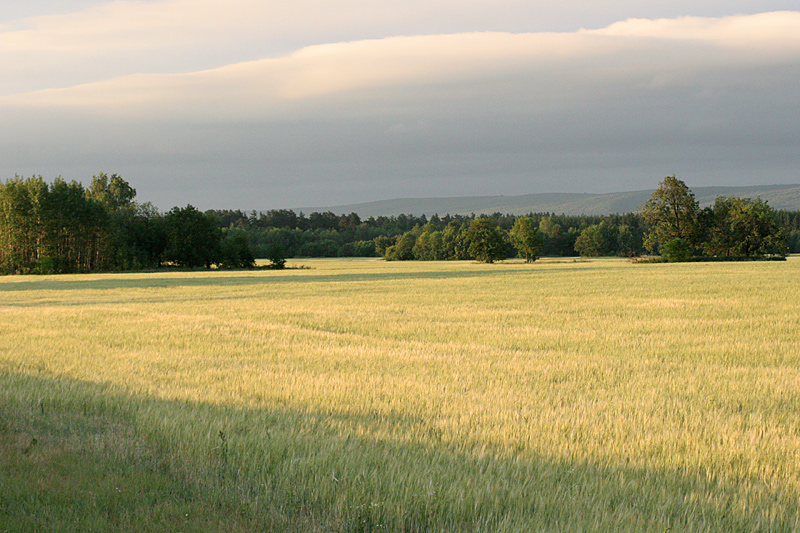 photo "***" tags: landscape, summer