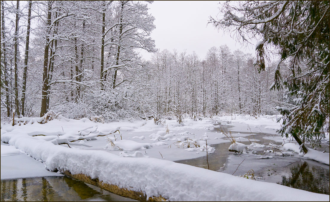 фото "Бобровый ландшафт" метки: пейзаж, вода, зима