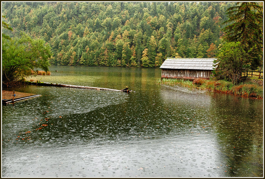 photo "Дождь на озере Bad Aussee" tags: landscape, autumn, water