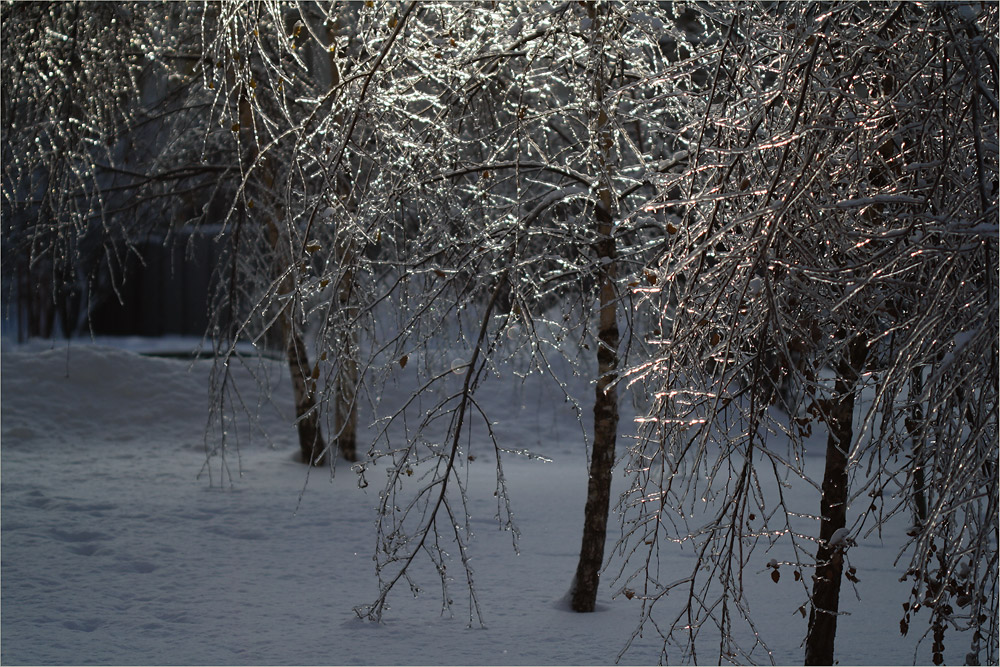 photo "Crystal garden" tags: landscape, city, winter