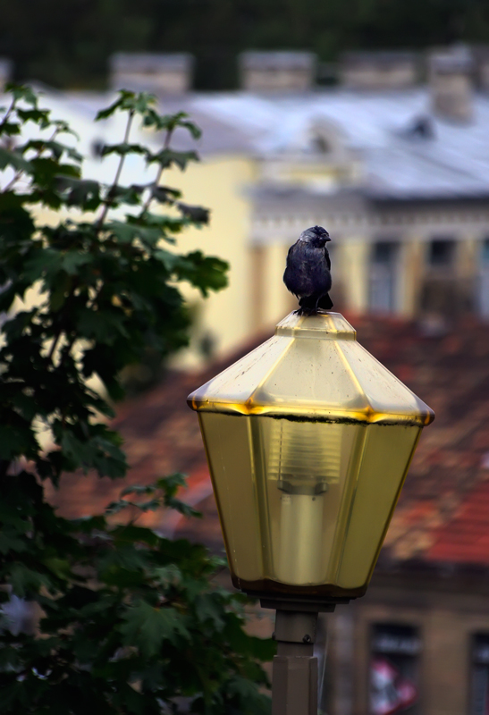 photo "***" tags: city, 