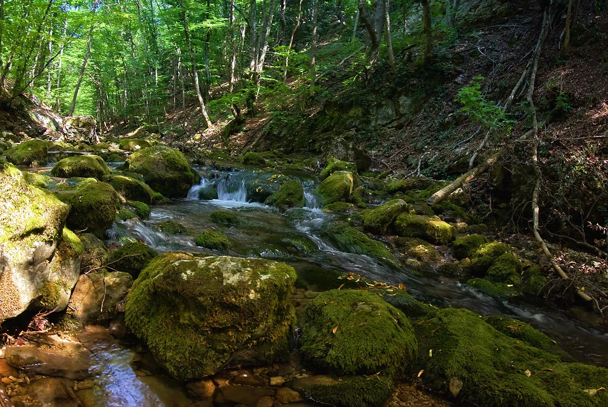 photo "***" tags: landscape, summer, water