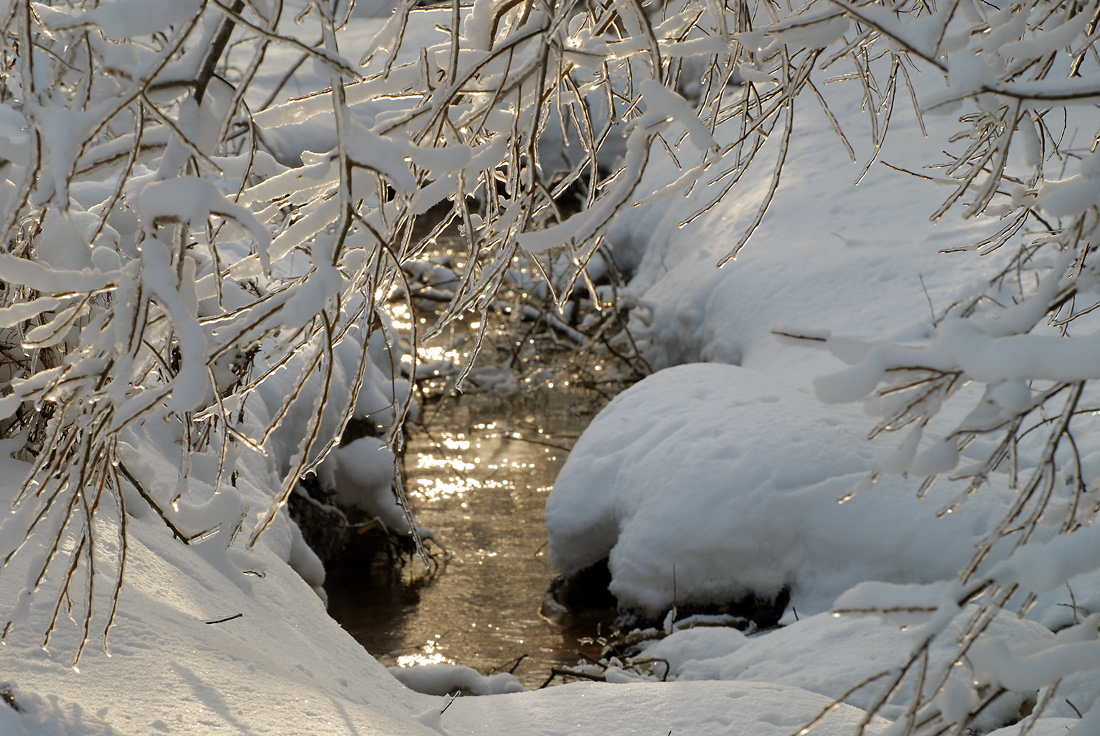 фото "Ручеёк." метки: пейзаж, вода, зима