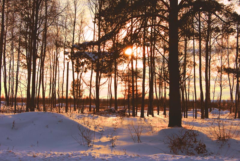 photo "***" tags: landscape, winter