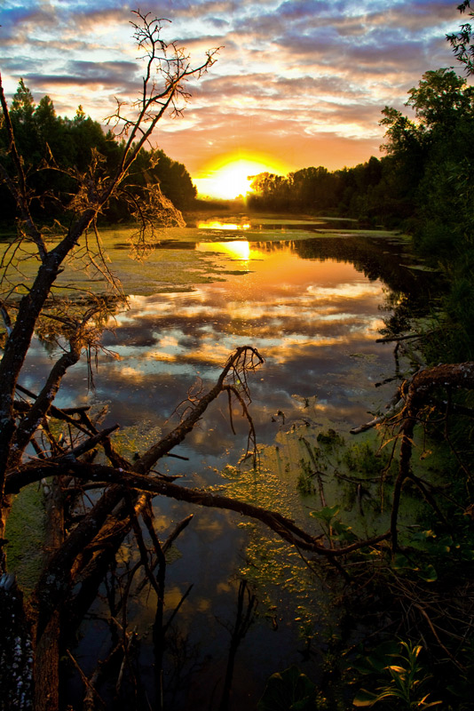 photo "***" tags: landscape, summer