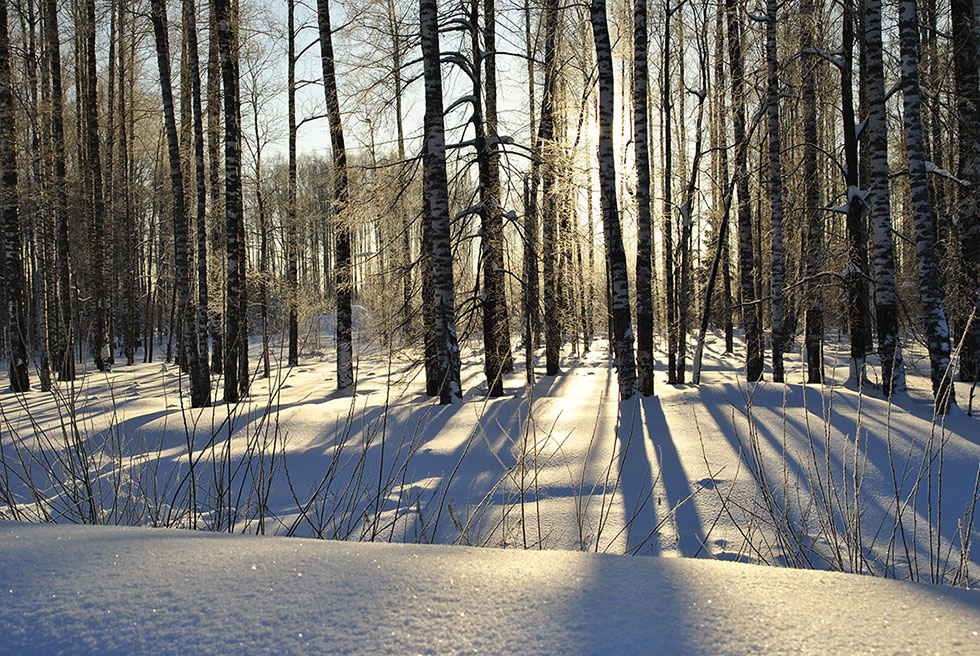 photo "***" tags: landscape, winter