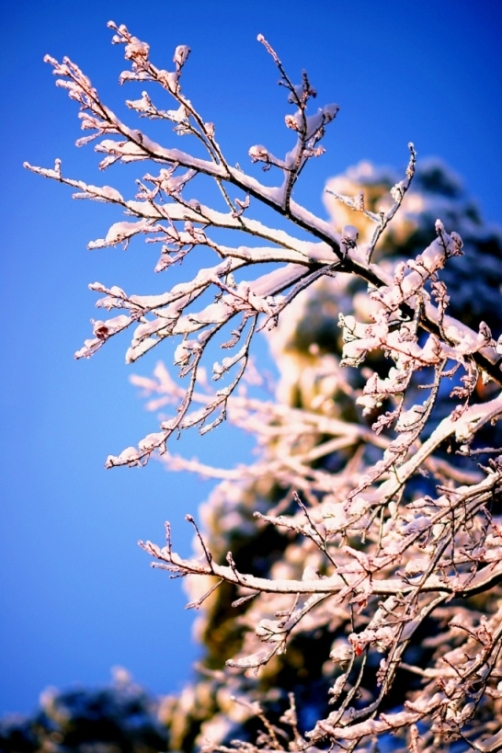 фото "Причуды зимнего солнца." метки: пейзаж, зима