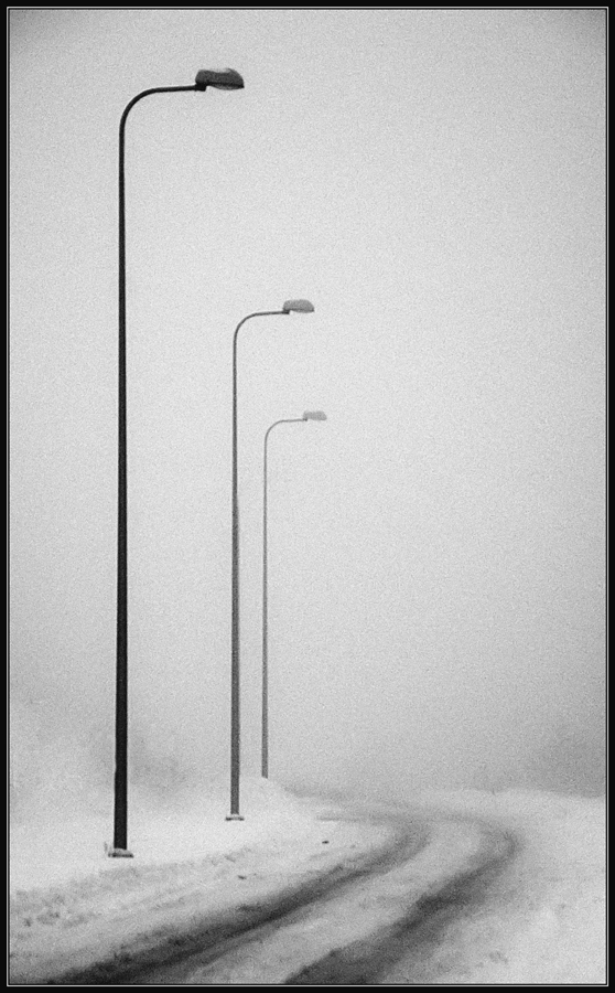 photo "Guardians of light" tags: landscape, black&white, winter
