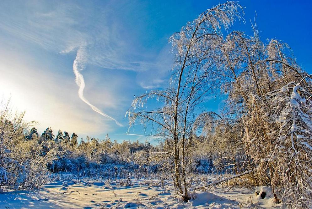 фото "Зимушка" метки: пейзаж, зима, лес
