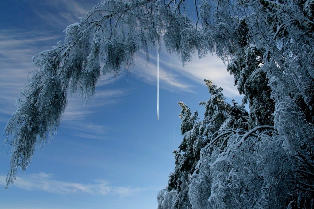 фото "высокое синее небо" метки: пейзаж, зима, лес