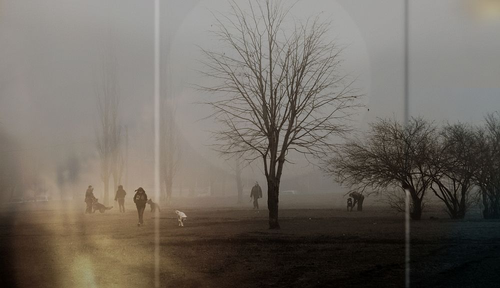 photo "spread around" tags: , 