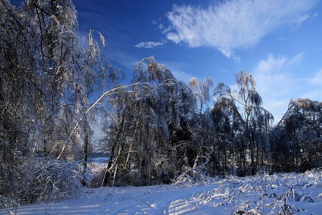 фото "Облака" метки: пейзаж, зима, лес
