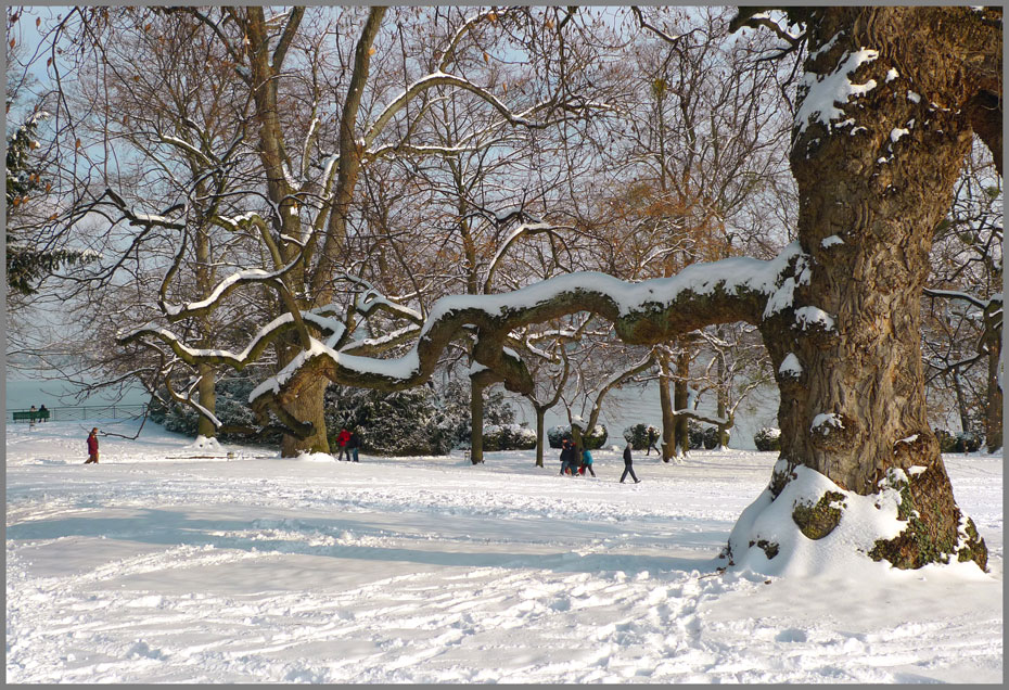 photo "Winter view" tags: landscape, winter