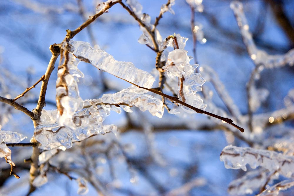 photo "***" tags: landscape, winter