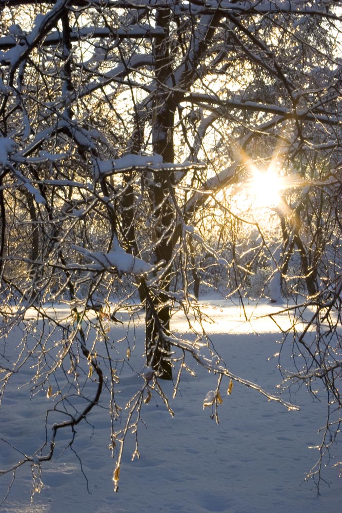 photo "***" tags: landscape, winter