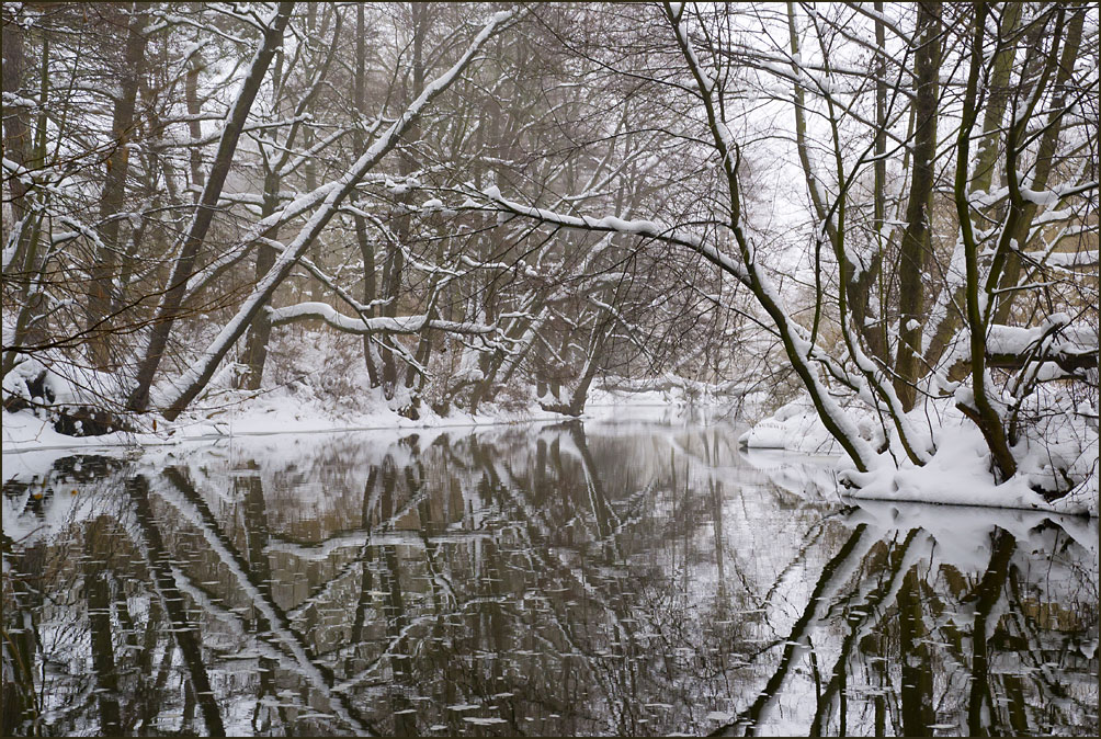 photo "Old Banks" tags: landscape, water, winter