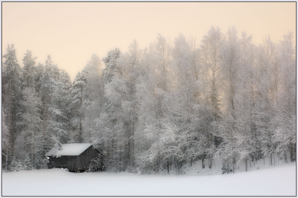 photo "***" tags: landscape, forest, winter