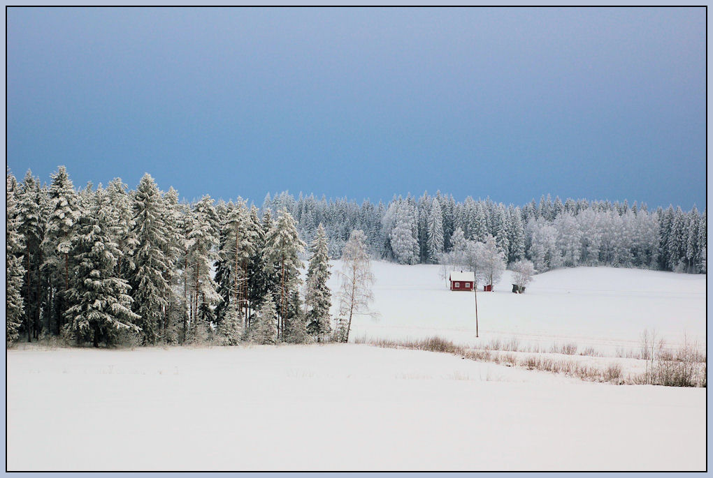 photo "***" tags: landscape, forest, winter