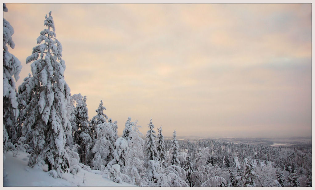 photo "***" tags: landscape, forest, winter