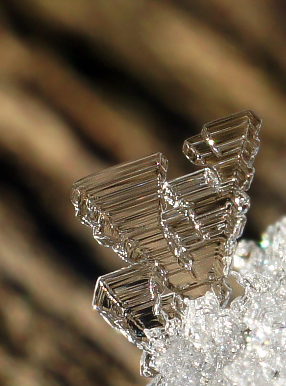 photo "макро" tags: macro and close-up, misc., 