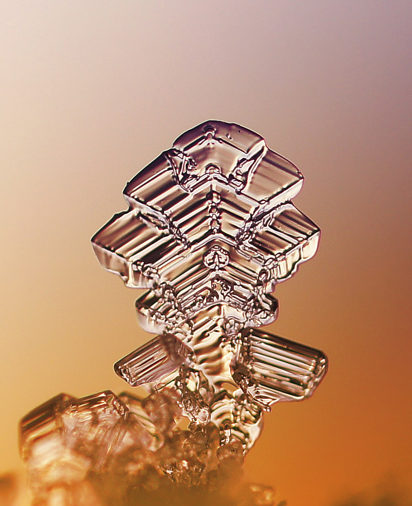 photo "макро иней природа" tags: macro and close-up, misc., 