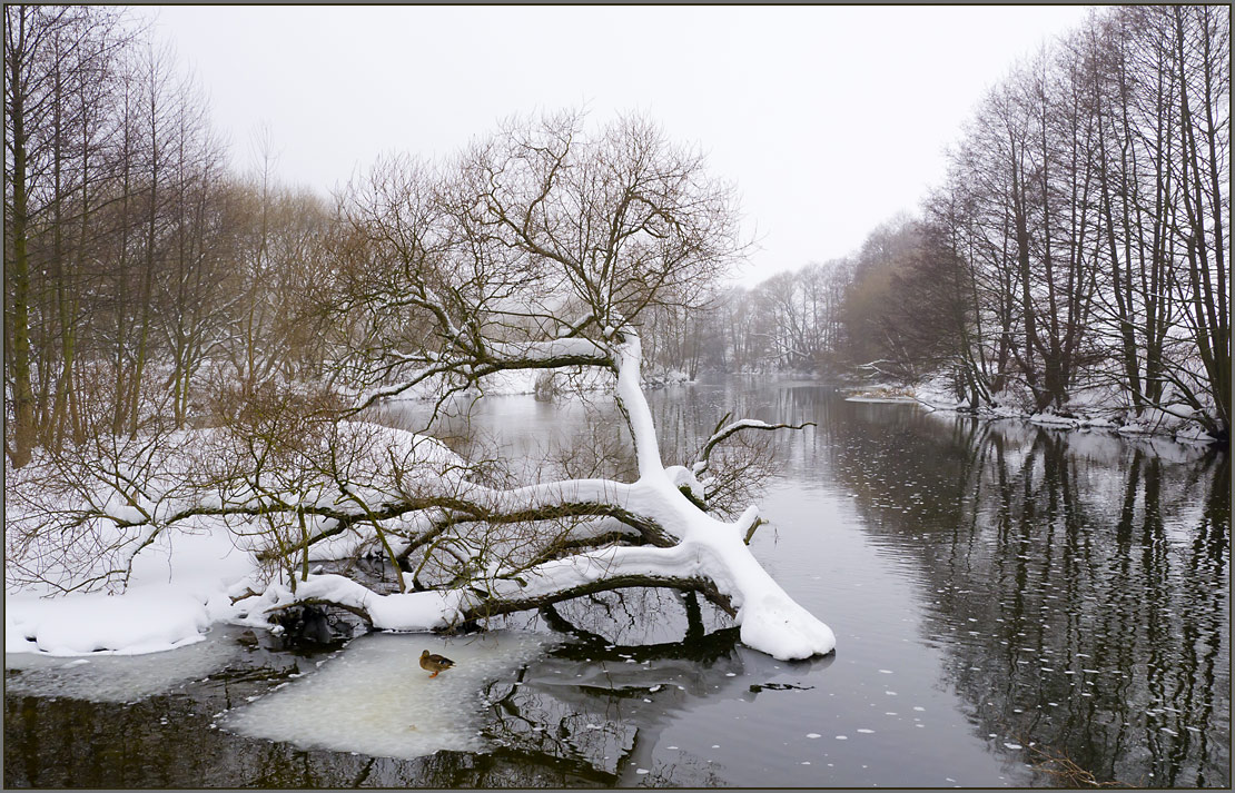 photo "Exiles" tags: landscape, water, winter