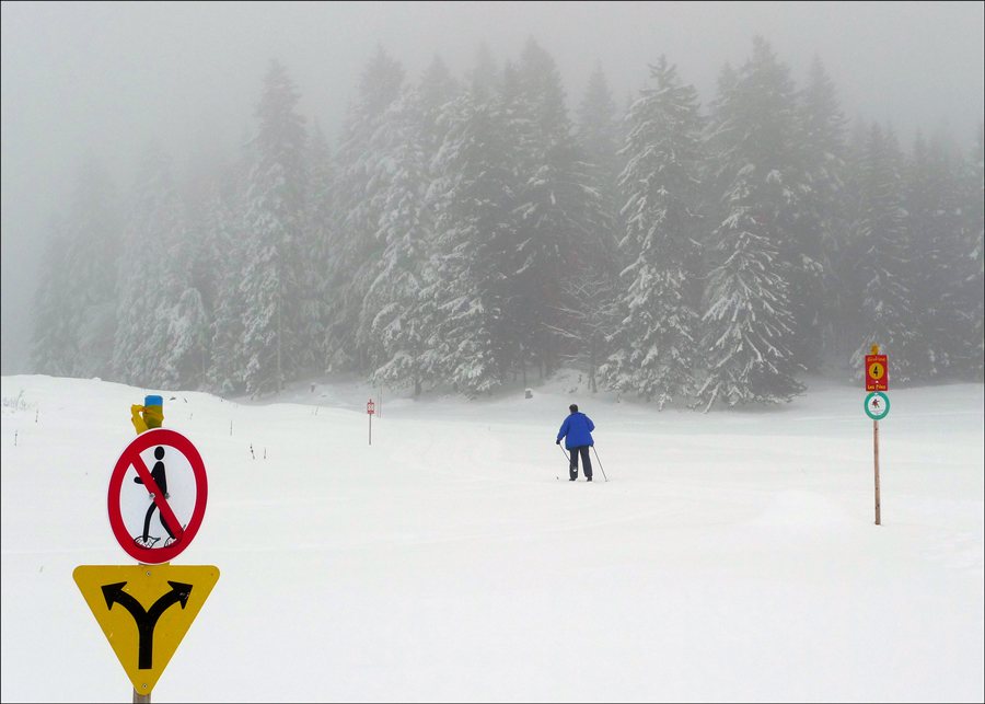 photo "Foggy dilemma" tags: landscape, genre, winter