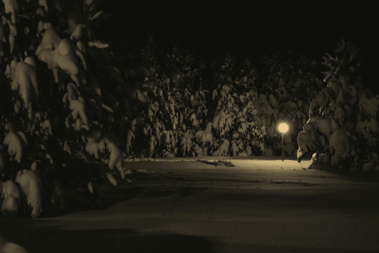 фото "Январская ночь" метки: пейзаж, зима, ночь